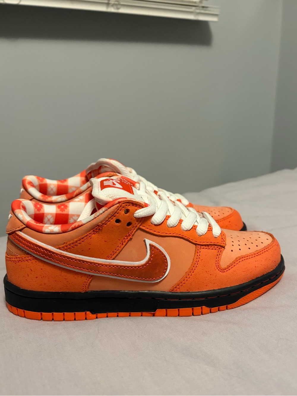 Nike SB Dunks (low)